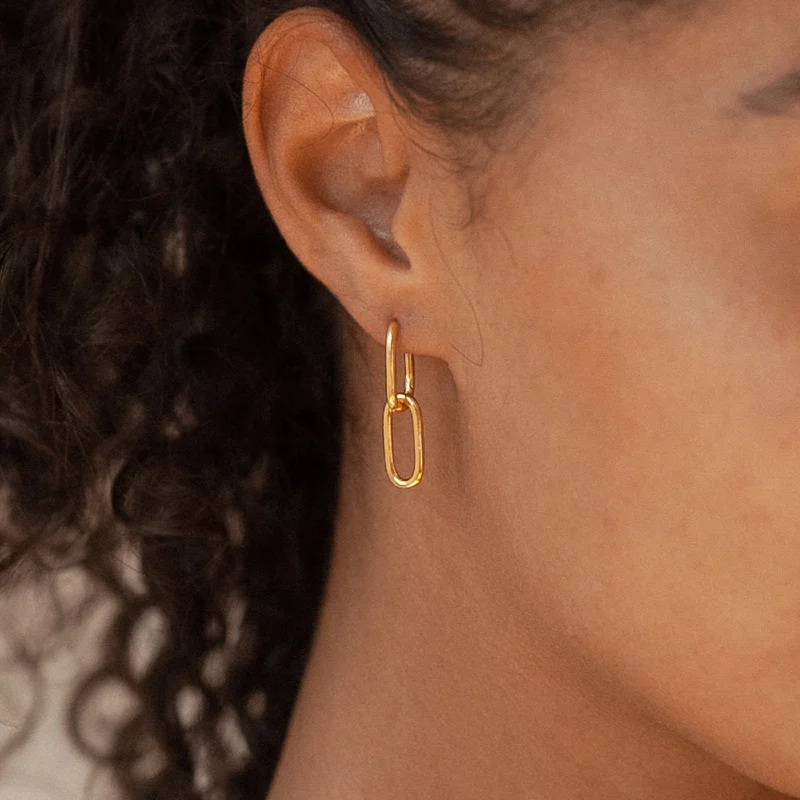 women designer hoop earrings -Amanda Link Earrings